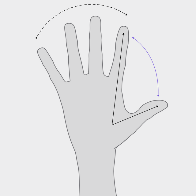 Thumb-to-index angle